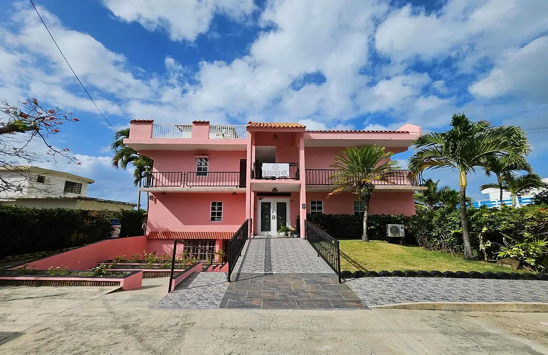 Selva Boutique Hotel - Luquillo Oceanfront Retreat - Adults Only-1